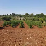 Nocleg ze śniadaniem Masseria Soluco Monopoli