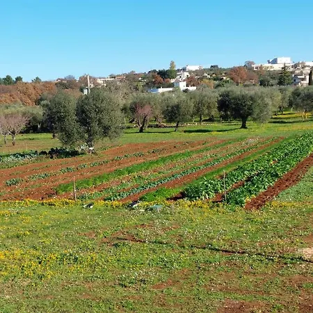 Masseria Soluco 4* Монополи