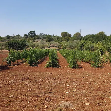 Alojamento de Acomodação e Pequeno-almoço Masseria Soluco Monopoli
