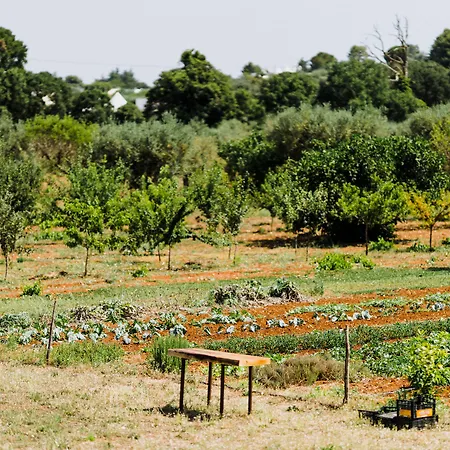 Masseria Soluco Alojamento de Acomodação e Pequeno-almoço Monopoli