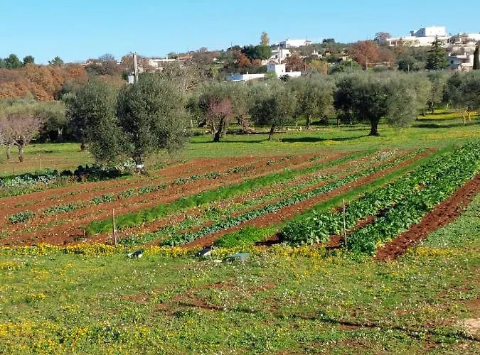 Masseria Soluco 4* Monopoli