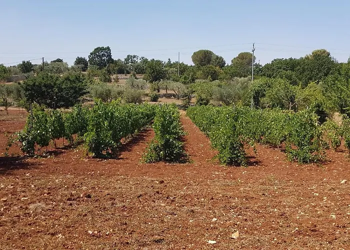Alojamento de Acomodação e Pequeno-almoço Masseria Soluco Monopoli